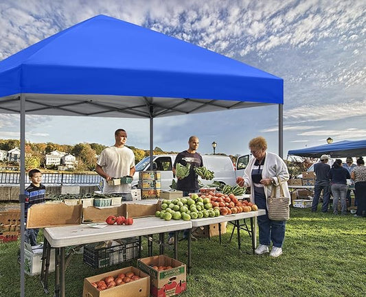 ABCCANOPY Pop Up Canopy - Outdoor Patio Portable Canopy Tent Heavy Duty for Backyard and Deck with 4 Sandbags(Royal Blue, 10x10)