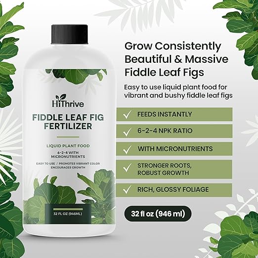 32oz Fiddle Leaf Fig Plant Food - Makes 192 Gallons of Fertilizer, Liquid Houseplant Fertilizer for Ficus Plants, Ideal Fiddle Leaf Fertilizer, 6-2-4 NPK Ficus Plant Food for Strong, Healthy Growth