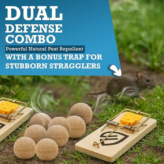 Mouse Rodent Repellent Balls – 24-Pack + 1 Mouse Trap – Powerful Natural Pest Control for Mice, Rats, Squirrels – Long-Lasting Indoor and Outdoor Protection