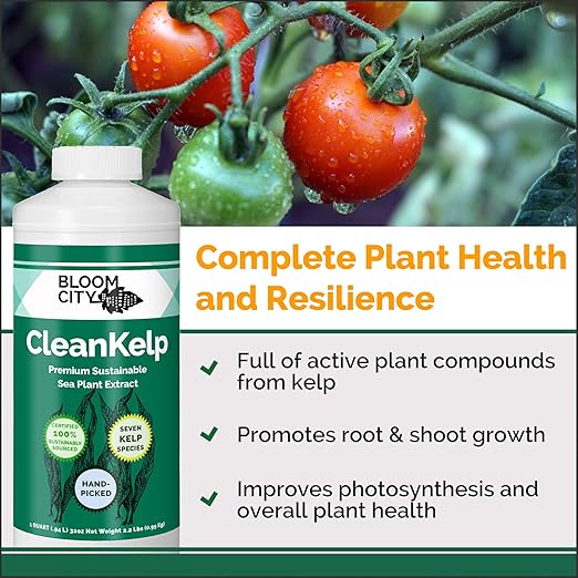 Bloom City Organic Liquid Seaweed and Kelp Fertilizer Supplement (128 oz) Concentrated Makes 750 Gallons