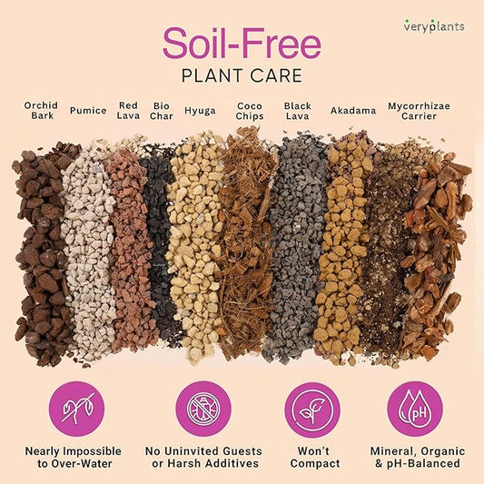 Molly's Orchid Potting Mix - Premium Gritty Soilless Orchid Mix - Chunky High Drainage vs Standard Potting Soil for Indoor Plants - Contains Bark, Coco Chips, Akadama, Pumice, Lava Rock 5 Dry Quarts