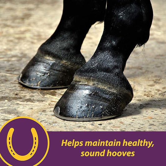 Horse Health Vita Biotin Crumbles Horse hoof Supplement, Helps Maintain Healthy, Sound Hooves and Strong hoof Walls, 20 lbs., 320 Day Supply