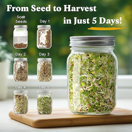 Seedboy Organic Non-GMO Sprouting Seeds, Fresh Salad Blend – USA Grown Microgreens Mix with Alfalfa, Broccoli, Radish, Mung Bean & Lentil – 8 oz Bag Makes 8 Quarts / 24 Servings (Salad Blend)