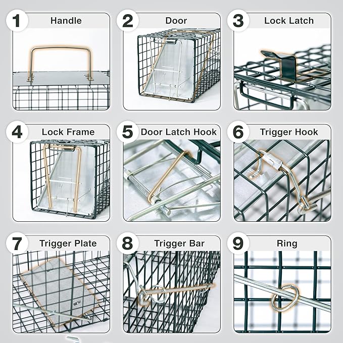 HOMESTEAD Heavy Duty Live Trap - Professional Style One-Door Live Animal Traps for Rabbit, Squirrel, Possum, Skunk, Kitten, Mink Small