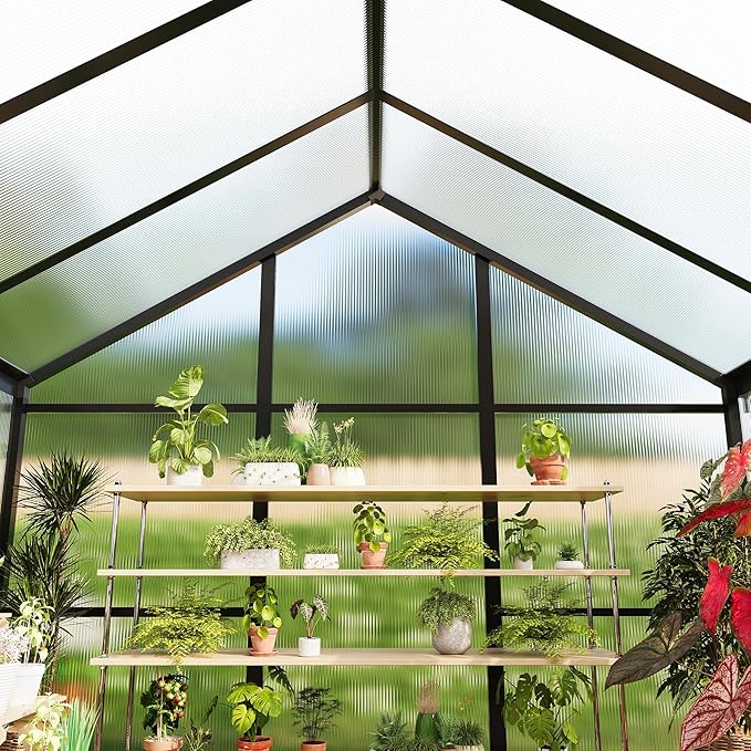 6X10 FT Greenhouse for Outdoors, Polycarbonate Greenhouse with Roof Vent, Ground Nails, Lockable Push Door, Aluminum Large Walk-in Green House for Outside Garden Backyard, Patio, Lawn, Black