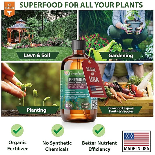 GARDENERA Premium Organic Seaweed & Kelp Superfood for Peace Lily Plants - 32 oz - Liquid Kelp Fertilizer Concentrate (Makes 180 Gallons)