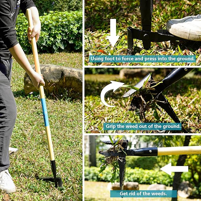 CYRUS 39" Weed Puller Tool - Carbon Steel Gardening Hand Tool with Ergonomic Long Ash Wood Handle - Effortless Manual Weed Removal Garden Tool