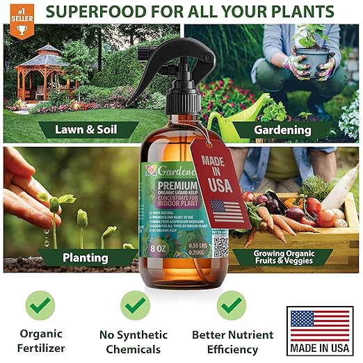 GARDENERA Professional Organic Liquid Kelp Spray for Orange Plants - 8 oz - Ready-to-Use Fully Organic Seaweed & Kelp Fertilizer Mist