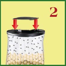 Flies Be Gone Fly Trap - Disposable Non Toxic Fly Catcher, Made in USA - Natural Bait Trap for Patios, Ranches, Outdoor Environments - Keeps Flies from Coming Indoors, Disposable Fly Catcher, 5-Pack