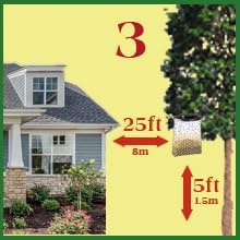 Flies Be Gone Fly Trap - Disposable Non Toxic Fly Catcher, Made in USA - Natural Bait Trap for Patios, Ranches, Outdoor Environments - Keeps Flies from Coming Indoors, Disposable Fly Catcher, 5-Pack