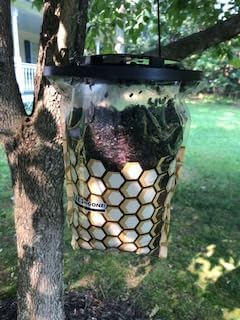 Flies Be Gone Outdoor Fly Trap - Disposable Non Toxic Fly Catcher, Made in USA - Natural Bait Trap for Patios, Ranches, Outdoor Environments - Disposable Flytrap, 10-Pack