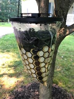 Flies Be Gone Outdoor Fly Trap - Disposable Non Toxic Fly Catcher, Made in USA - Natural Bait Trap for Patios, Ranches, Outdoor Environments - Disposable Flytrap, 10-Pack