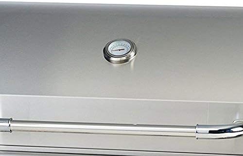 Bull Outlaw 30-Inch Built-In Grill (BG-26039), Natural Gas