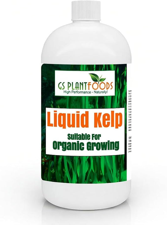 Organic Kelp Fertilizer by GS Plant Foods - Omri Certified (1 Quart) - Kelp Fertilizer for Gardens, Lawns & Soil