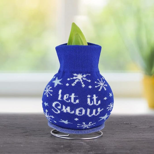 Let It Snow Sweater Amaryllis Flower Bulb with Stand, No Water Needed, Gift Ready