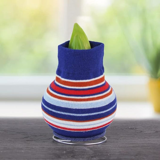 Cheer Up Buttercup Sweater Amaryllis Flower Bulb with Stand, No Water Needed, Gift Ready