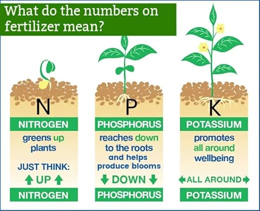 Premium 13-3-13 All-Season Fast Acting Landscape and Ornamental Fertilizer by Gardenera - Promotes Biomass Growth and Vibrant Leaf Color [16 OZ]