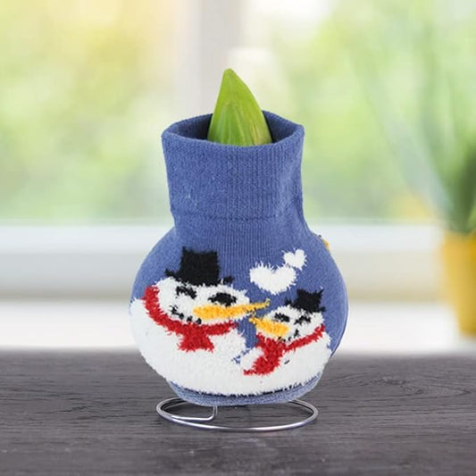 Frosty and Friends Sweater Amaryllis Flower Bulb with Stand, No Water Needed, Gift Ready
