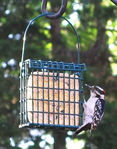 ST. ALBANS BAY SUET PLUS Suet Cake Variety Packs | 11 oz. Wild Bird Suet Cakes | (Peanut, 10 Pack)