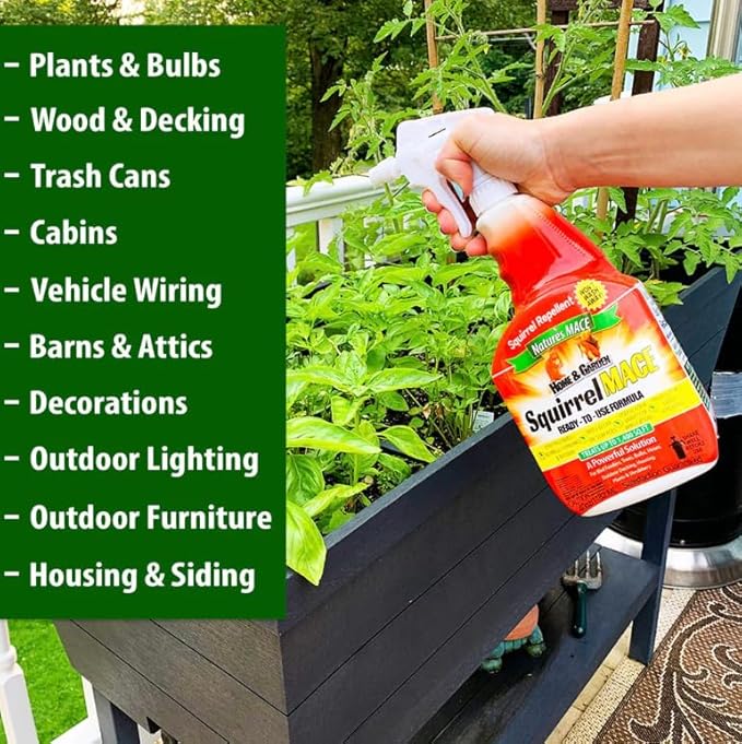 Nature's Mace Squirrel Mace, Squirrel Repellent Outdoor, 40 Ounce Spray, Squirrel and Chipmunk Repellent, Keep Squirrels Out of Your Garden, Attic, Bird Feeders, Fruit Trees, Plants, Potted Plants