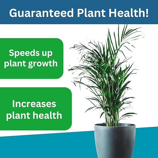 Apollo's Touch All Natural Plant Growth Fertilizer - House Plants, Outdoor Garden Plants, Soluble, Increases Plant Growth and Health - 3.5oz Bottle