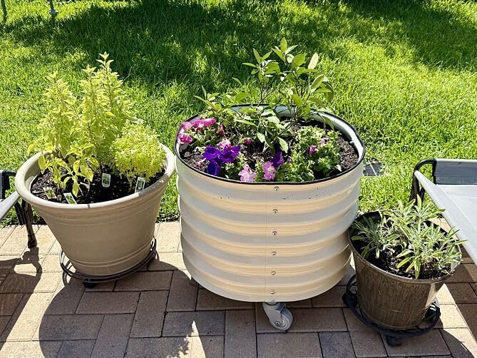 Rolling Metal Citrus Tree Planter, Self-Watering Round Planter Box for Porch Patio & Backyard, Raised Garden Bed with Wheels for Growing Trees Tomatoes Vegetables and Flowers, Single Pack-Pearl White