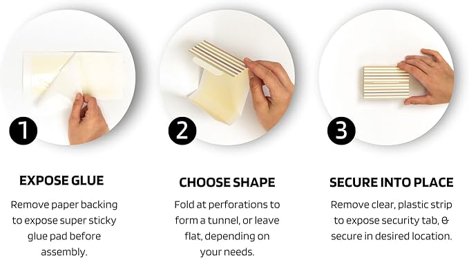 Insect Sticky Traps “BUG beds” Decorative Glue Pads, Aesthetic, Non-Toxic, Indoor, Pest Control- Mouse, Spider, Bed Bug, Cockroach, Brown Recluse, Cricket, Grasshopper, Gecko, Beetle, Scorpion