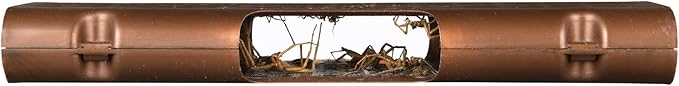 RESCUE! Spider Traps – Catches Brown Recluse, Hobo Spiders, Black Widows & Wolf Spiders - 2 Pack (6 Traps)