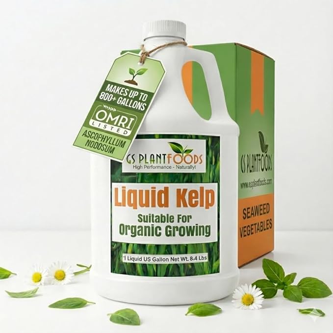 GS Plant Foods Liquid Kelp Fertilizer – Suitable for Organic Growing, OMRI Listed Seaweed Concentrate for Lawns, Gardens & Soil - 1 Gallon (Makes Up To 800+ Gallons)