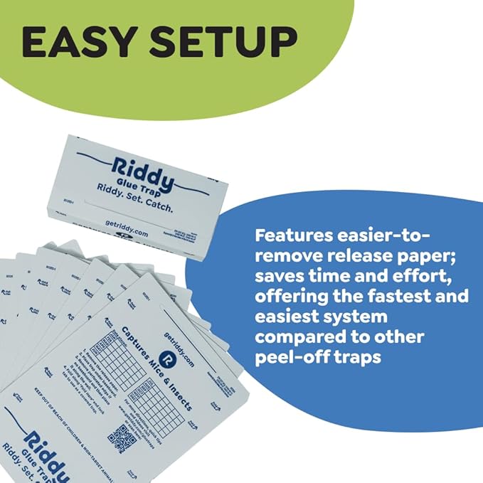 Riddy Glue Boards, 12 Boards, Pre-Baited, Ready to Use Mouse Traps Indoor for Home, Sticky Adhesive for Bugs and Rodents, 5.5" x 7.5"