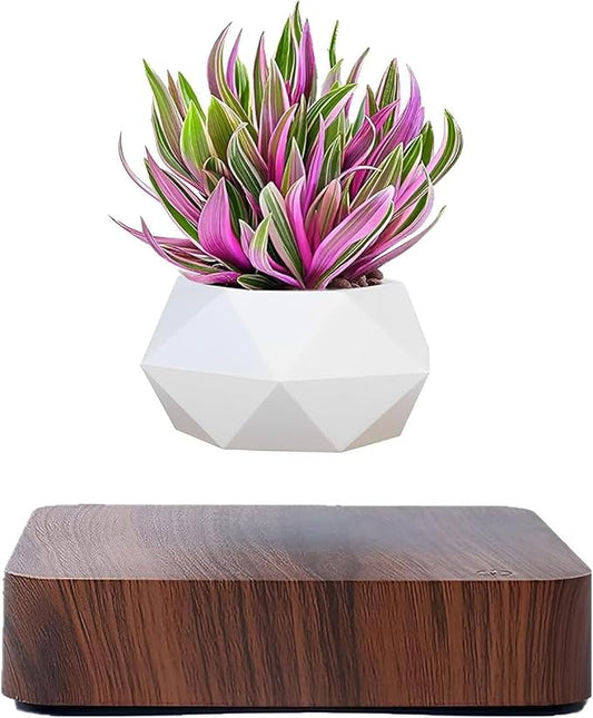 Levitating Air Bonsai Pot,Cool Stuff, Rotation Flower Pot Planters, Potted Plant Home Desk Decor in Flower Pots & Planters from Home & Garden on (Dark Color)