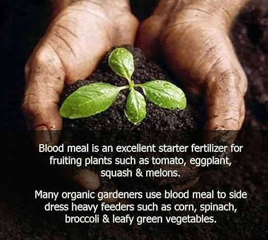 𝐁𝐄𝐒𝐓𝐒𝐄𝐋𝐋𝐄𝐑 Organic Blood Meal Fertilizer by Gardenera - 12-0-0 NPK - All-Natural Plant Food Source of Nitrogen for Organic Gardening, Flowers, Vegetables, Trees & Shrubs - 10 QUARTS