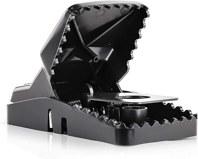 eXuby Large Powerful Rat Traps - Kills Instantly with Powerful Steel Spring - Setup in Seconds - Wash & Reuse Over & Over - Hands Free Disposal - Rat Control Without Harmful Poisons (12)