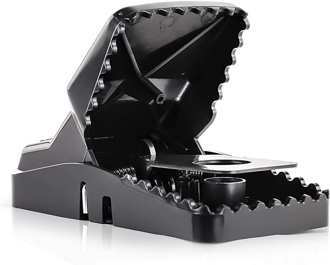 eXuby Large Powerful Rat Traps - Kills Instantly with Powerful Steel Spring - Setup in Seconds - Wash & Reuse Over & Over - Hands Free Disposal - Rat Control Without Harmful Poisons (24)