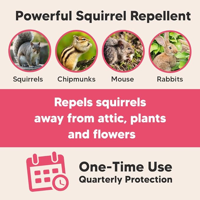 Squirrel Repellent Outdoor, Peppermint Chipmunk Repellent for Garden, Attic, Bird Feeders, Car Engines – Long-Lasting Safe Protection- 8 Packs
