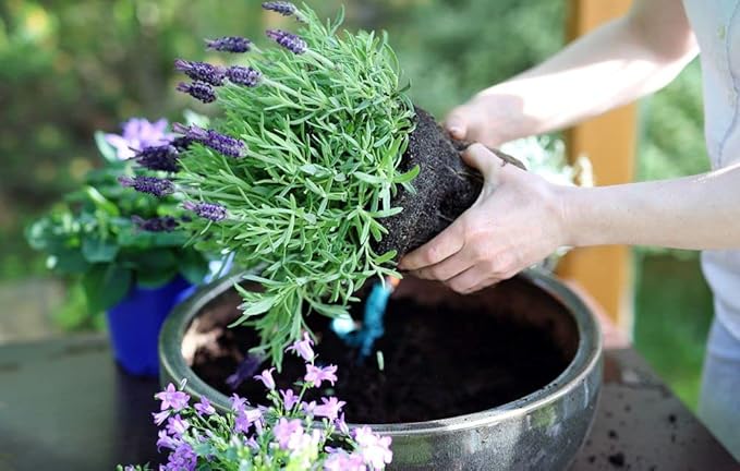 Gardenera Organic Moisture Control Potting Mix - Absorbs 33% More Water Than Basic Potting Soil - 5 Quart