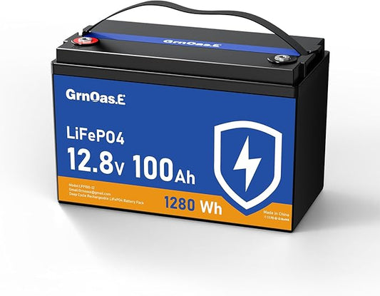 12V 100Ah LiFePO4 Lithium Battery, Group 31 Battery with Low-Temp Cut Off Protection, Built-in 100A BMS, 15000+ Deep Cycles 1280Wh Rechargeable for Solar, Home Energy Storage, RVs, Marine