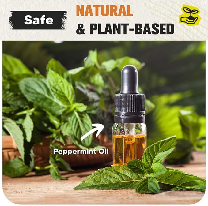 Pest Repellent, Mouse Repellent, Rodent Repellent for Indoor/Outdoor, Mice Repellent Indoor, Natural Rat Repellent for House, Keep Mice, Roach, Ant and Spider Away from Home, Protects 120 sq ft - 8P