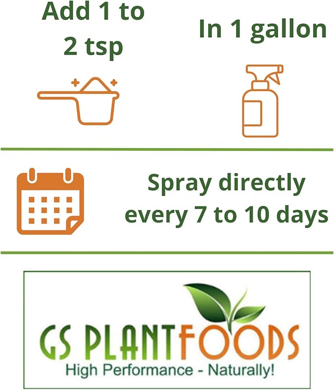 GS Plant Foods All Purpose Water Soluble 20-20-20 Fertilizer Balanced NPK Plant Food with Micronutrients, Contains Kelp (Ascophyllum nodosum) for Indoor & Outdoor Plants, Gardens & Turf (3 lbs)