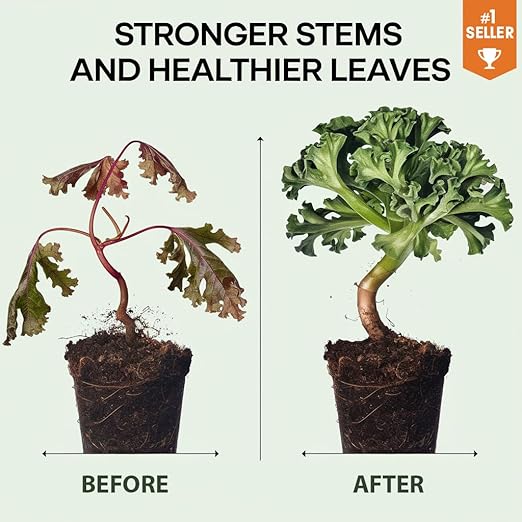 𝐒𝐔𝐏𝐄𝐑𝐈𝐎𝐑 Liquid Silica Boost Fertilizer and Supplement Spray for Broccoli Plants – Pre-Mixed, Ready-to-Use Liquid Silicon Plant Superfood Mist for Indoor & Outdoor Plants – 8oz