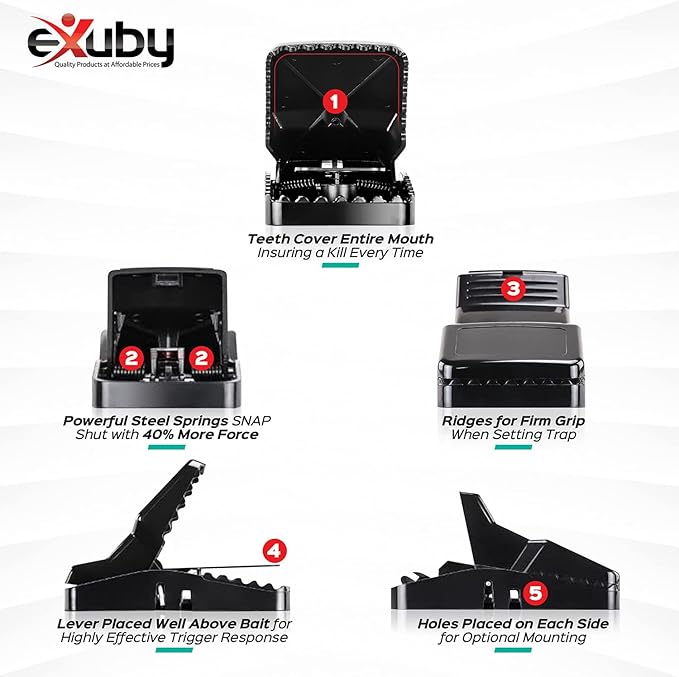 eXuby Large Powerful Rat Traps - Kills Instantly with Powerful Steel Spring - Setup in Seconds - Wash & Reuse Over & Over - Hands Free Disposal - Rat Control Without Harmful Poisons (16)