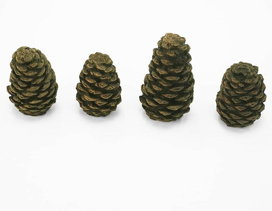 BLUEGRASS LIVING Decorative Concrete Pine Cones - Durable, Realistic Design for Indoor and Outdoor Use