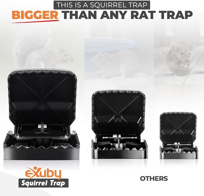 Squirrel Trap (2 Pack) - Consistent & Humane Kill Every Time with no Failures - Powerful Spring - 5" Large Opening - 96% Instant Kill - for Attic, Garden, Forest & More - Reusable - Easy Setup