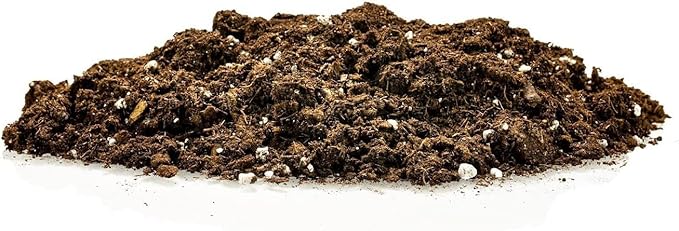 GARDENERA Premium Dracaena Potting Soil Mix - (3 Quart Bag)