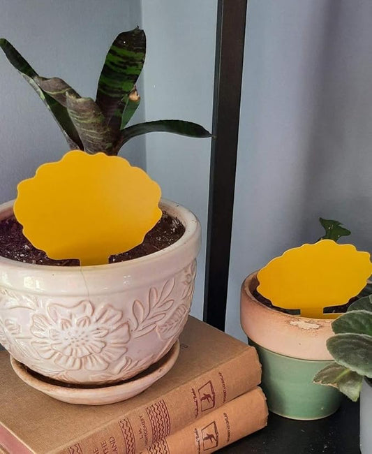 Garsum Fruit Fly Trap 18 Pcs Yellow Sticky Fungus Gnat Killer for Indoor and Outdoor Plant Insect Catcher for White Flies,Mosquitos,Fungus Gnats,Flying Insects