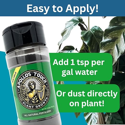 Apollo's Touch All Natural Plant Growth Fertilizer - House Plants, Outdoor Garden Plants, Soluble, Increases Plant Growth and Health - 3.5oz Bottle