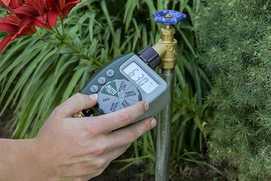 Orbit 62061Z 1-Outlet Programmable Digital Hose Watering timer