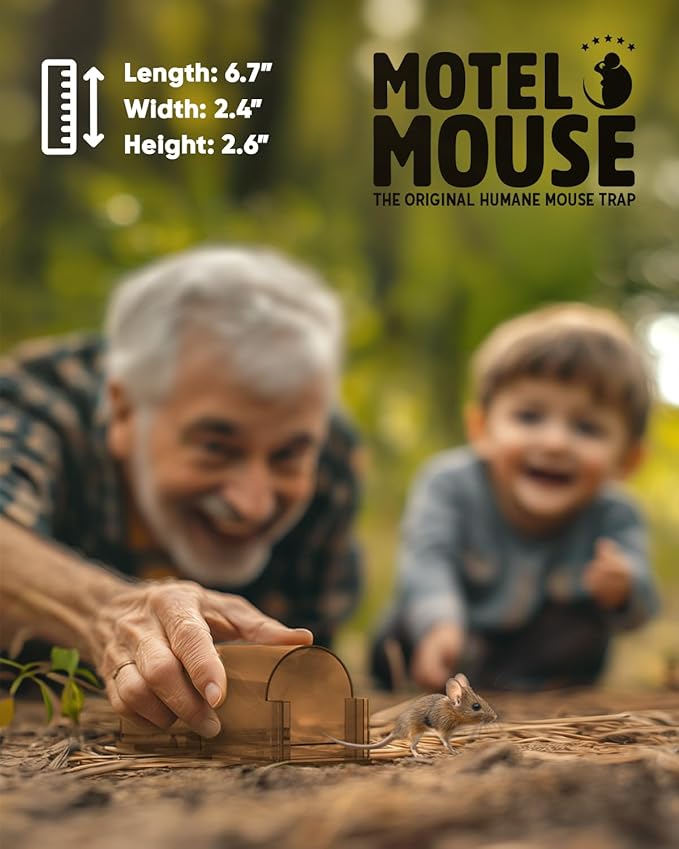 Motel Mouse Humane No Kill Live Catch and Release Mouse Traps, Reusable with Cleaning Brush - 4 Pack