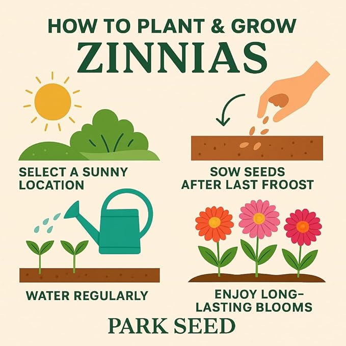 Park Seed Zinnia Flower Planting Seeds, Easy to Grow, Perfect for Spring Garden, Whirligig Hybrid, Pack of 50