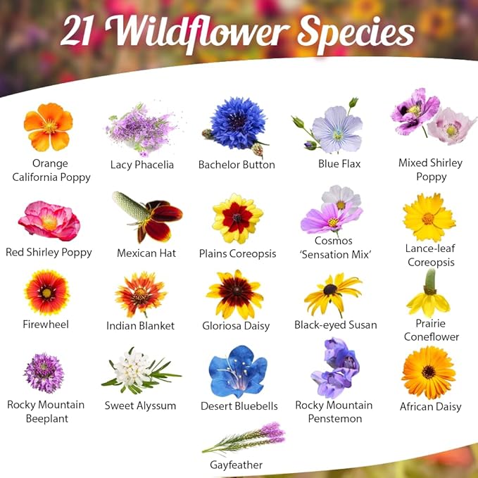 Drought Tolerant Wildflower Seeds - 4oz, Open-Pollinated Bulk Flower Seed Mix for Beautiful Perennial, Annual Garden Flowers - No Fillers - 4 oz Packet